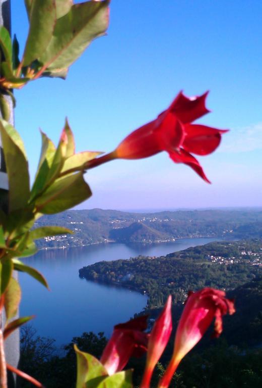 Hotel Panoramico Lago D'Orta (Adults Only) Мадонна-дель-Сассо Экстерьер фото